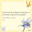 롱패딩을 입을 때 주의할 점 이미지