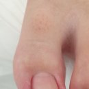 진주점리스트