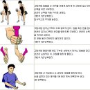 테니스엘보 재활운동 프로그램~ 이미지