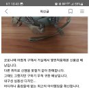 신규 사기꾼 6512 이미지