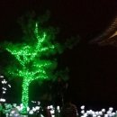 선운민박 이미지