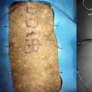 로얄동물외과수술센터 이미지