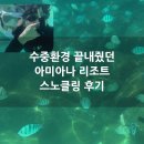 물고기 | 수중환경 끝내줬던 나트랑 아미아나리조트 스노클링 후기(물고기 영상)