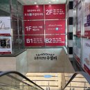 티파니귀금속，시계 | 도헤주얼리 가드링 솔직후기 (구매X) | 티파니 밀그레인 플랫 가드링 추천