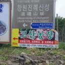 사파동374 이미지