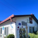 사랑이 꽃피는 민박 | 제주도 김녕·세기알해수욕장 근처 제주 현지 느낌 민박집 숙소 추천 '사랑이 꽃피는 민박'