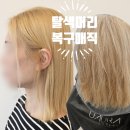 컴포즈루원시티DS점 | 인천서구 탈색머리 복구매직 클리닉 후기｜가좌동·신현동·가정동·루원시티 미용실