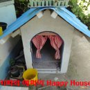 강아지이야기 이미지