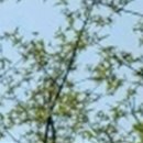 수플러스+치과의원 이미지