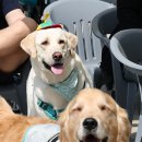 낙성대동-27 이미지