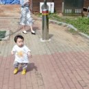 오니