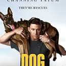 Refine dog 이미지