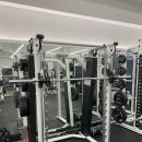 필로스짐 이미지