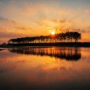 운여해변 이미지