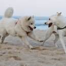 멍스테이션 이미지