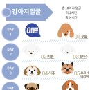 쁘니공방 네이버블로그