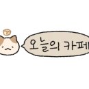 카페포나인 이미지