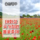 울산 태화강 국가정원 봄꽃 축제 작약 양비귀 봄의 향연