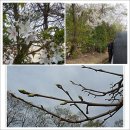 영지농장 이미지