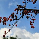 호수공원10로 이미지