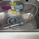 서대신 엔스타 이미지