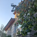 국민대학교 법무대학원 이미지