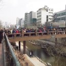 수포교 이미지