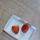 원동농장 이미지