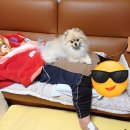 월드컵패밀리(아)경로당 | [2026] 1월 둘째주: 토익스피킹시험, 봉사활동야가다, 웹툰/애니메이션보기, 수제비와 아픈 사랑이 ㅜㅜ