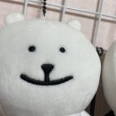 별별스쿱