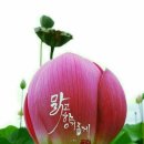 문교화옥 이미지