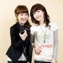 윙크 Daum카페
