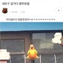 클라이밍파크 이미지