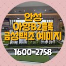 아양택지공원1 | 안성아양b2블록 금성백조 예미지 아파트 모델하우스 정보