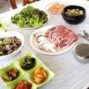 송고민박