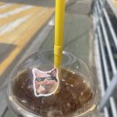 일상블로그, 찐막 벚꽃🌸