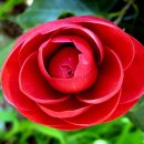 해맑은약국 이미지