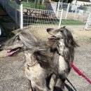 몽드드뚜뚜 이미지