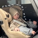 T-4 | l내돈내산l 싸이벡스 제로나-T 4개월 실사용 후기