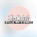 W17. 본식스냅 계약 및 업체 비교 (로즈베일리, 페르소나, 메리지스냅, 서사포토그라피, 탐클로이)