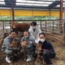 쌍둥이축산2 이미지