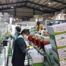 매실향기 이미지