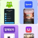 (주)앱플러스 | 직장인 영어공부 앱 비교, 유폰 스픽 말해보카 듀오링고 솔직후기