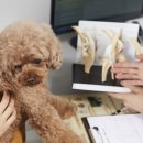 토비동물병원 이미지