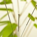 박재석한의원 이미지