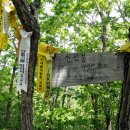 송화신발