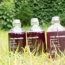 산바래기농장 이미지