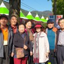 점촌국민학교 8회 벗님들, 한 갑자 우정-잊혀 진 여인 이미지