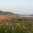 유등농장 이미지