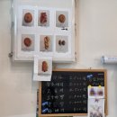 행운랜드 | [구례] 뚜벅이 1박2일 여행 | 행운 분식 사라다 빵 | 목월 빵집 | 지리산 치즈랜드 (버스 이동 방법)